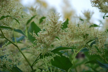 Similar image 21427027