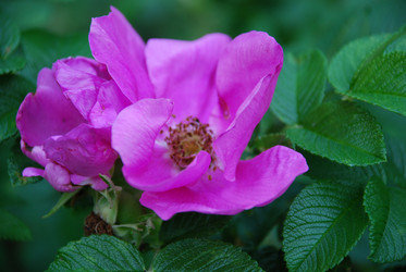 Similar image 21427028