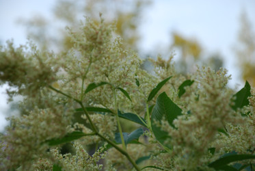 Similar image 21427029