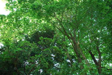 Similar image 21427030