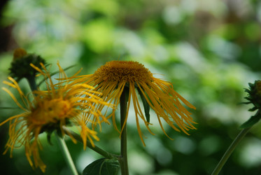 Similar image 21427032