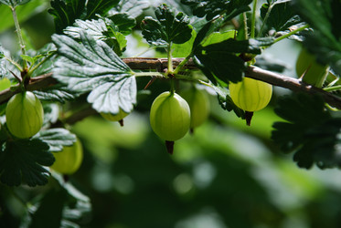 Similar image 21427034