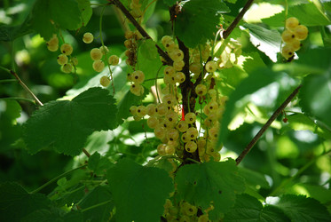 Similar image 21427036