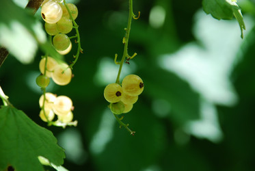 Similar image 21427038