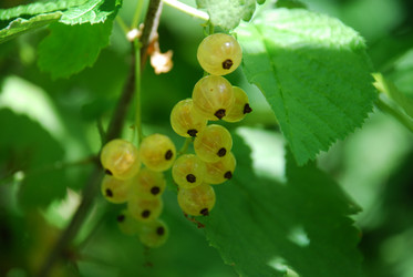 Similar image 21427040