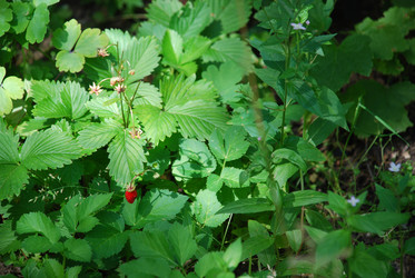 Similar image 21427042