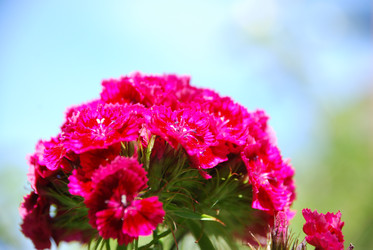 Similar image 21427044