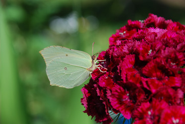 Similar image 21427045