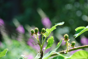 Similar image 21427046