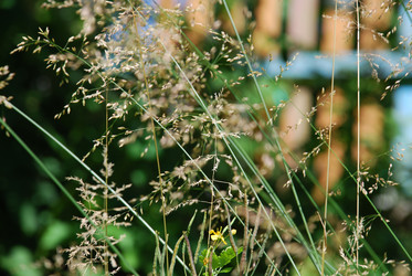 Similar image 21427047