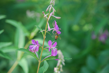 Similar image 21427049