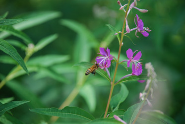 Similar image 21427050