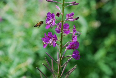 Similar image 21427051