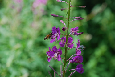 Similar image 21427052