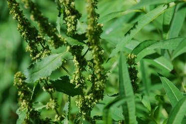 Similar image 21427053