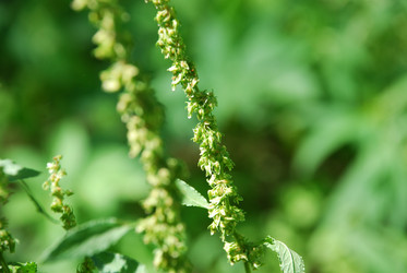 Similar image 21427054