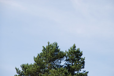 Similar image 21427055