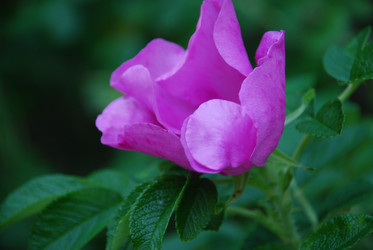 Similar image 21427056