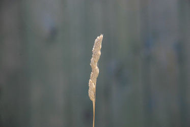 Similar image 21427057