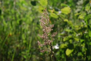 Similar image 21427058