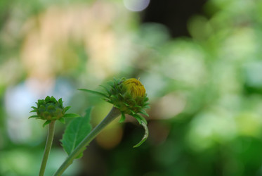 Similar image 21427059