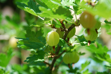 Similar image 21427060