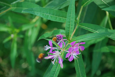 Similar image 21427062