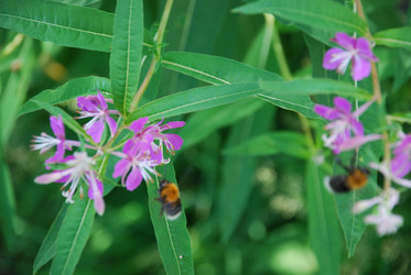 Similar image 21427063