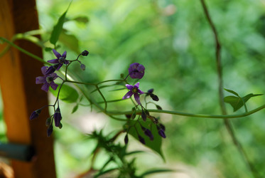 Similar image 21427064