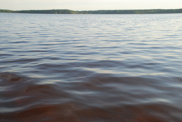 Similar image 21427066