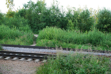 Similar image 21427068