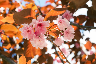 Similar image 21426133