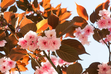 Similar image 21426136