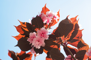 Similar image 21426138