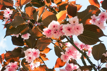 Similar image 21426140