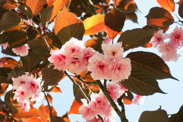 Similar image 21426142