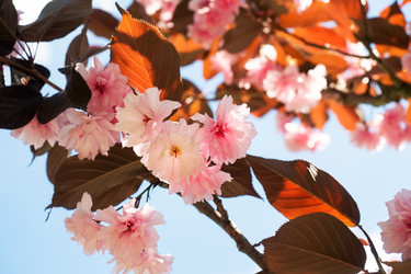 Similar image 21426144