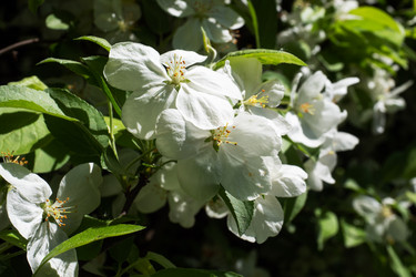 Similar image 21426146