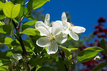 Similar image 21426148