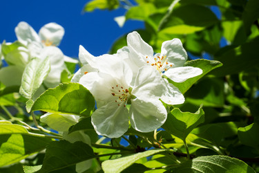 Similar image 21426152