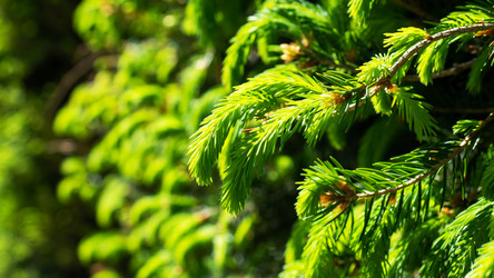 Similar image 21426156