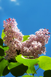 Similar image 21426158