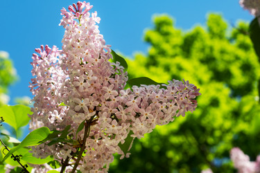 Similar image 21426160