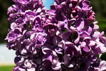 Similar image 21426349