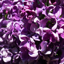 Similar image 21426351