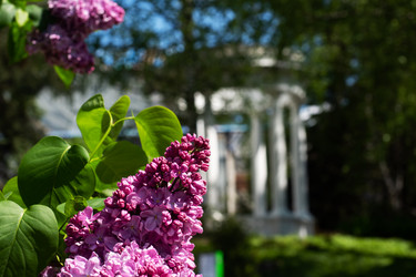 Similar image 21426355