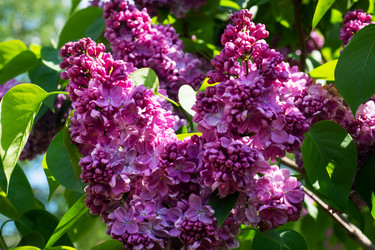 Similar image 21426357