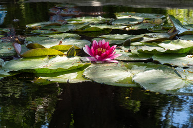 Similar image 21426362