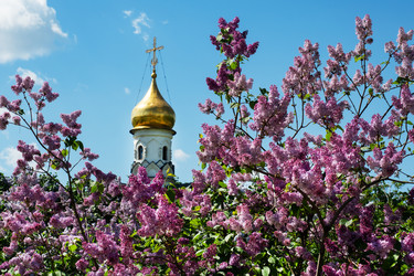 Similar image 21426363