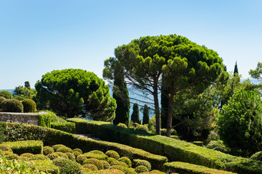 Similar image 21426366